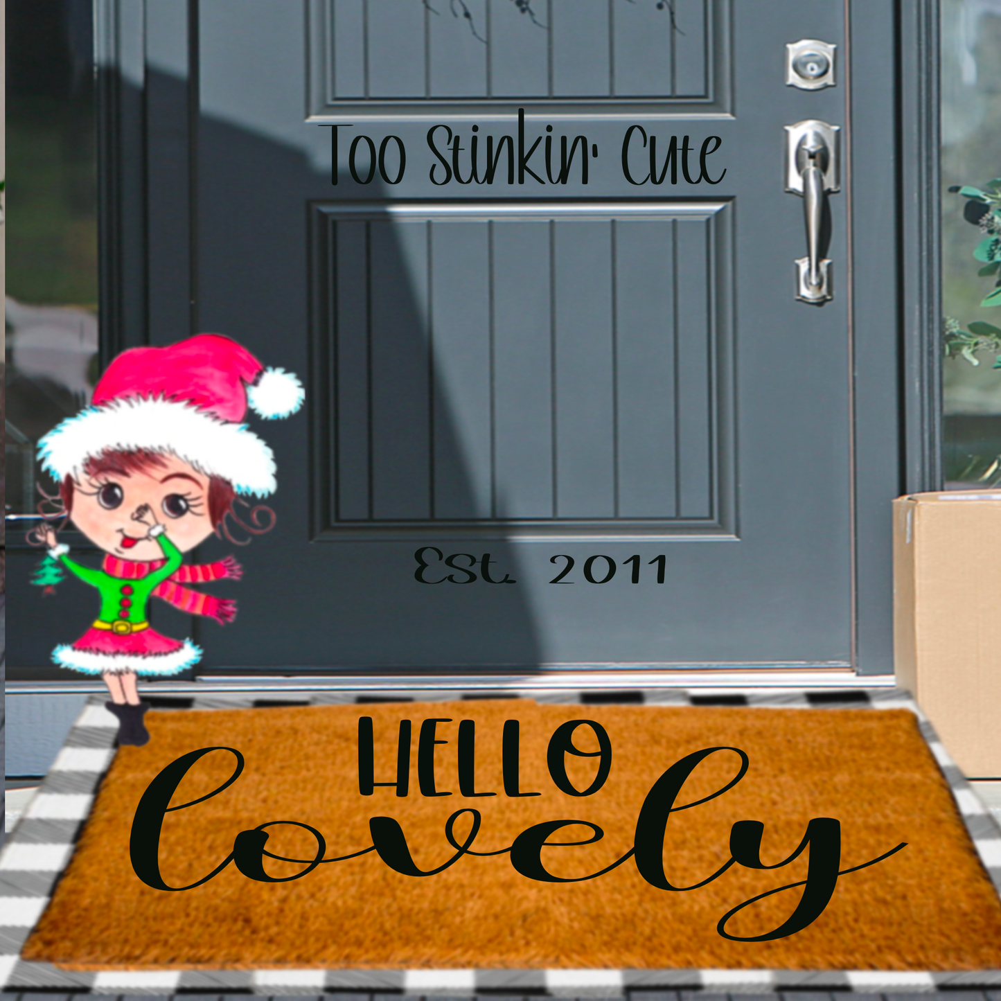 Custom Welcome Hello Lovely Doormat