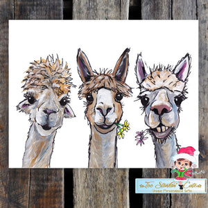 Alpaca Trio Tin Sign