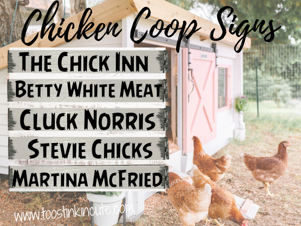 Custom Chicken Coop Sign (Personalized, Wood Sayings, Farm, Backyard, Hen House, Duck, Barn, Goat, Farmhouse)